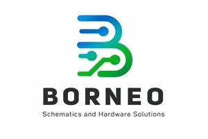 Borneo Schematics Single User Activation code - 1 year